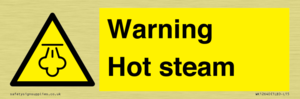 Warning Hot steam